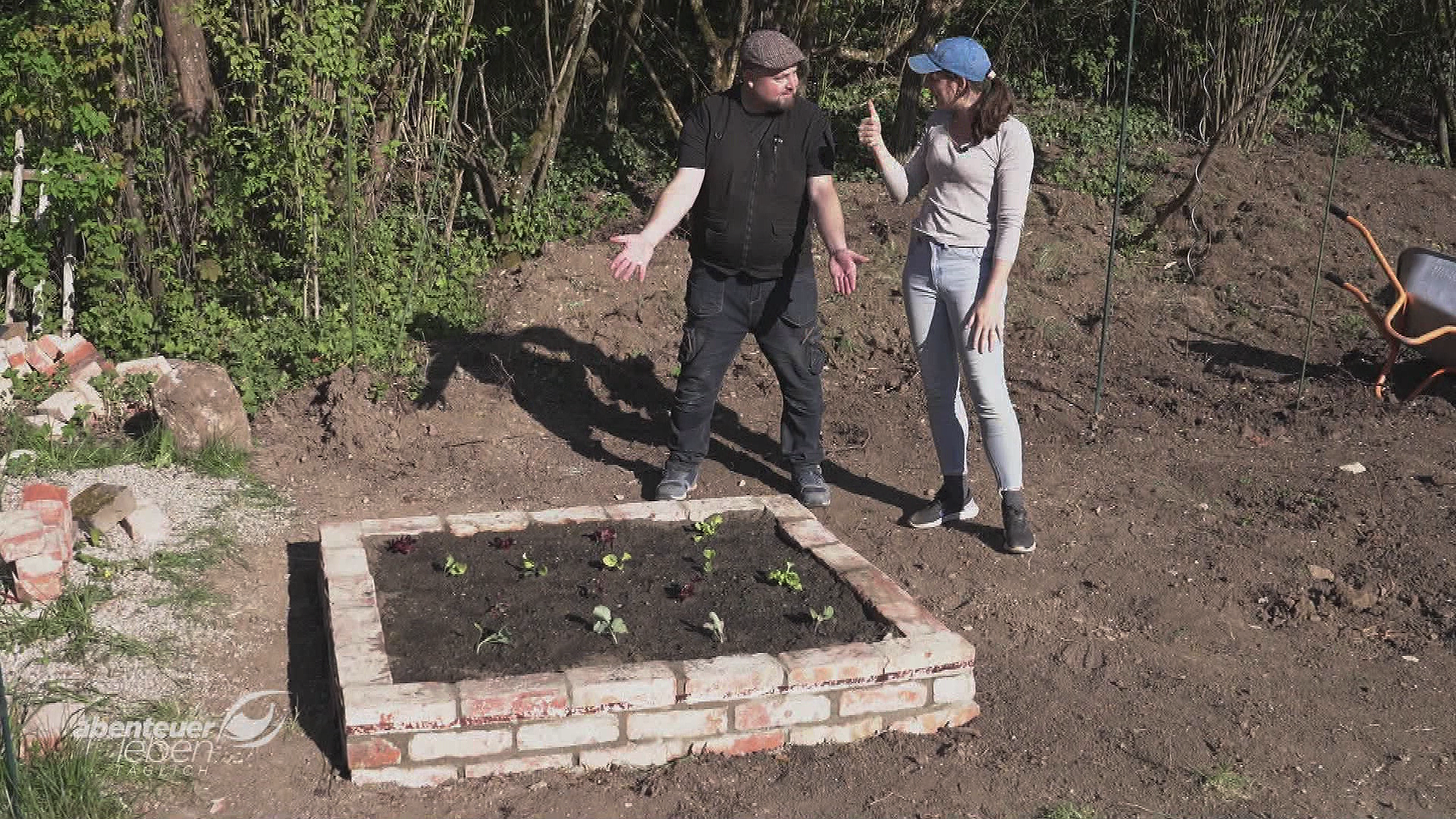 DIY Dauerbeet: Ein Gartenprojekt mit Bestand