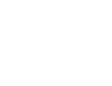 The Purge - Die Säuberung