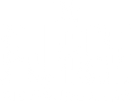 The Purge - Die Säuberung