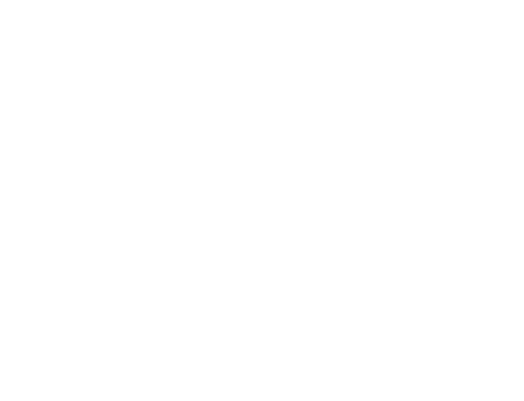 The Purge - Die Säuberung