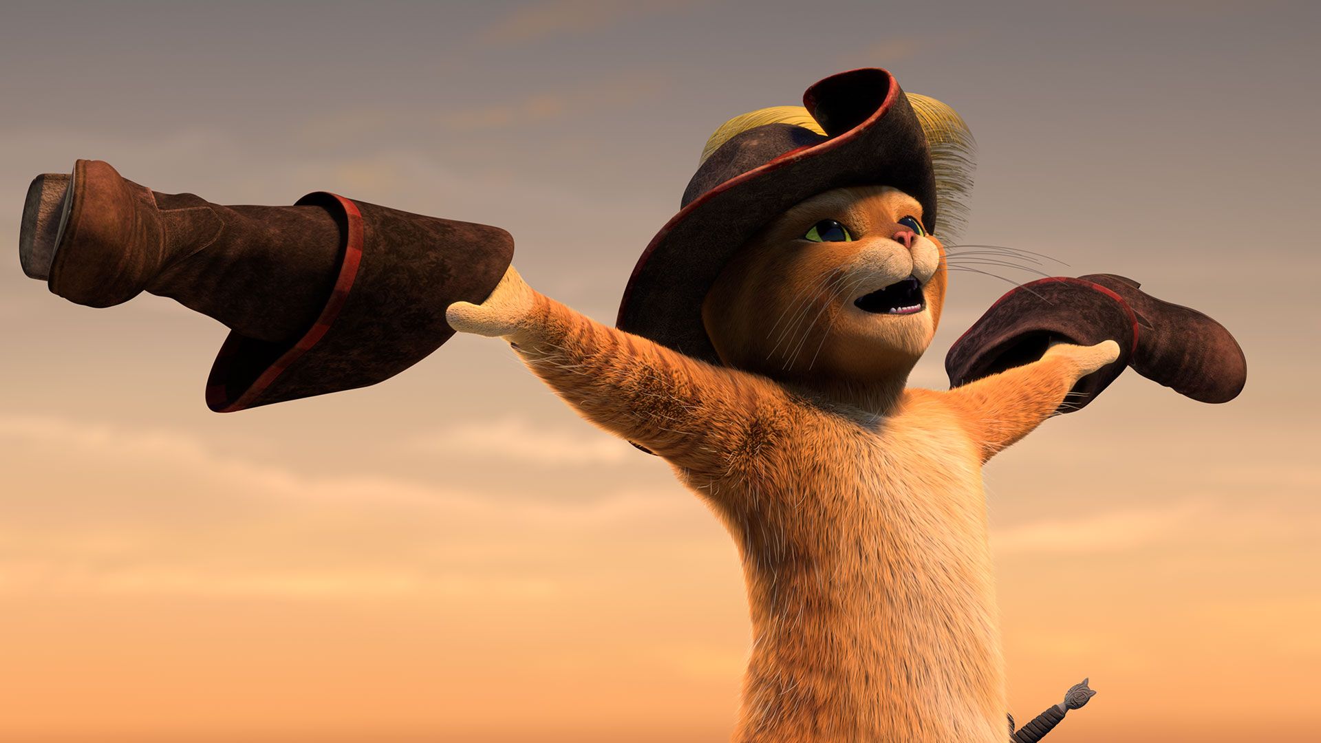 Der pantoffelte Kater