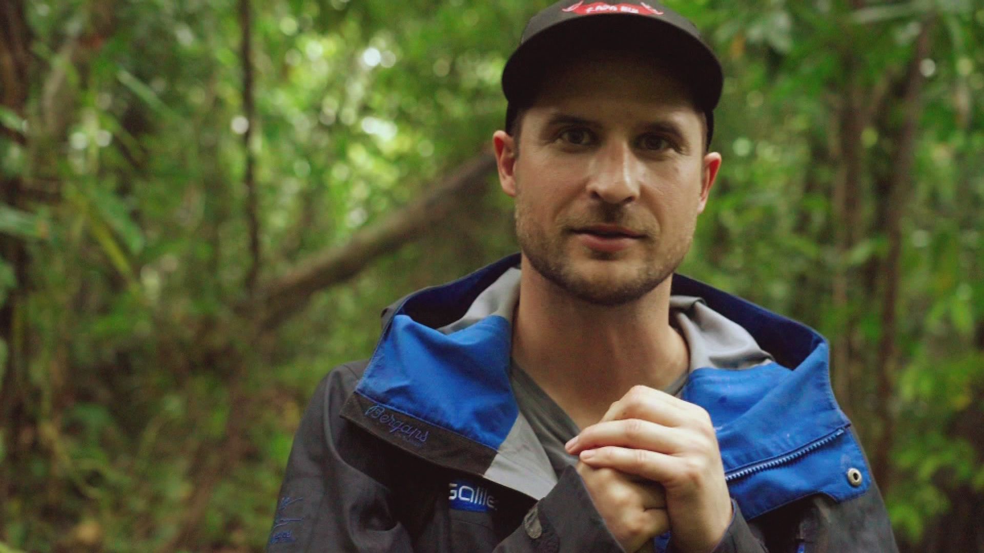 Verirrt im Dschungel