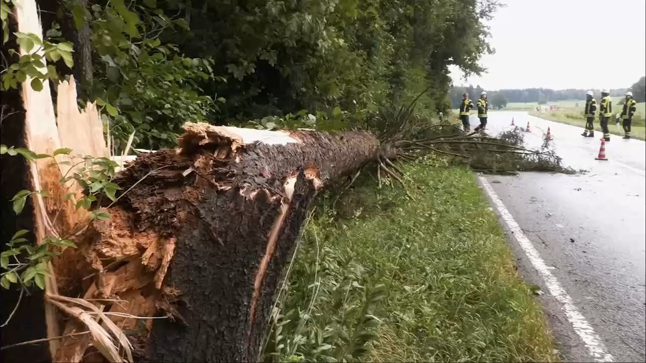 Unwetter nach Hitze: Umgestürzte Bäume und überflutete Straßen