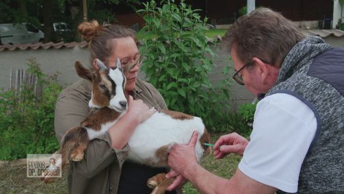 Praxis Dr. Dreesen - Ein Hof für Tiere Praxis Dr. Dreesen - Ein Hof für Tiere Folge 2: Ran an den Ziegenbock