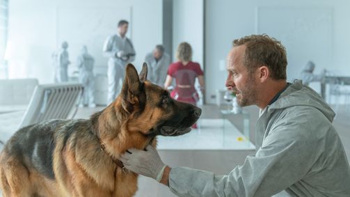 Kommissar Rex Kommissar Rex Folge 6: Der Rosenkavalier