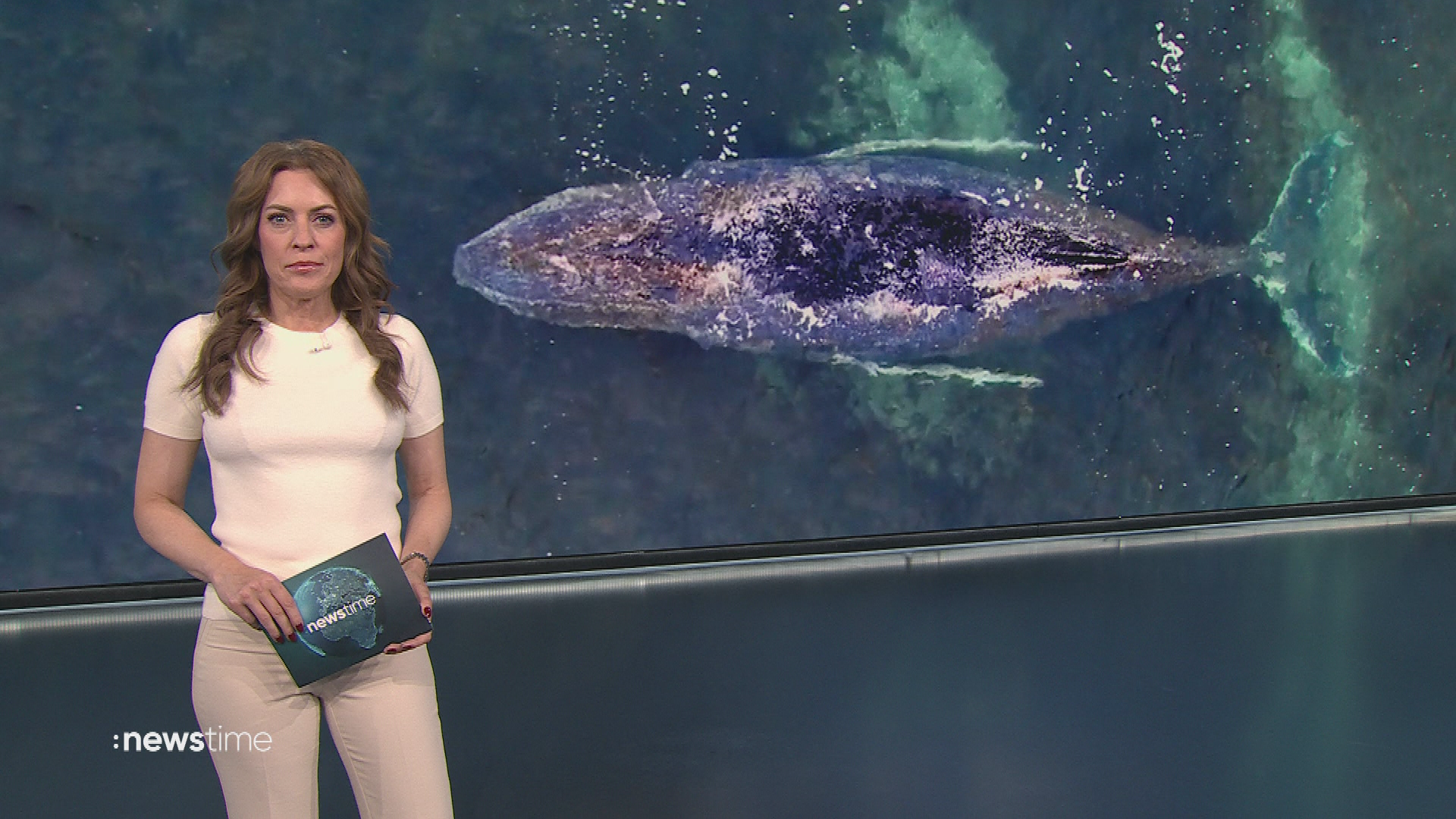 :newstime vom 29. März 2026 | 16:05