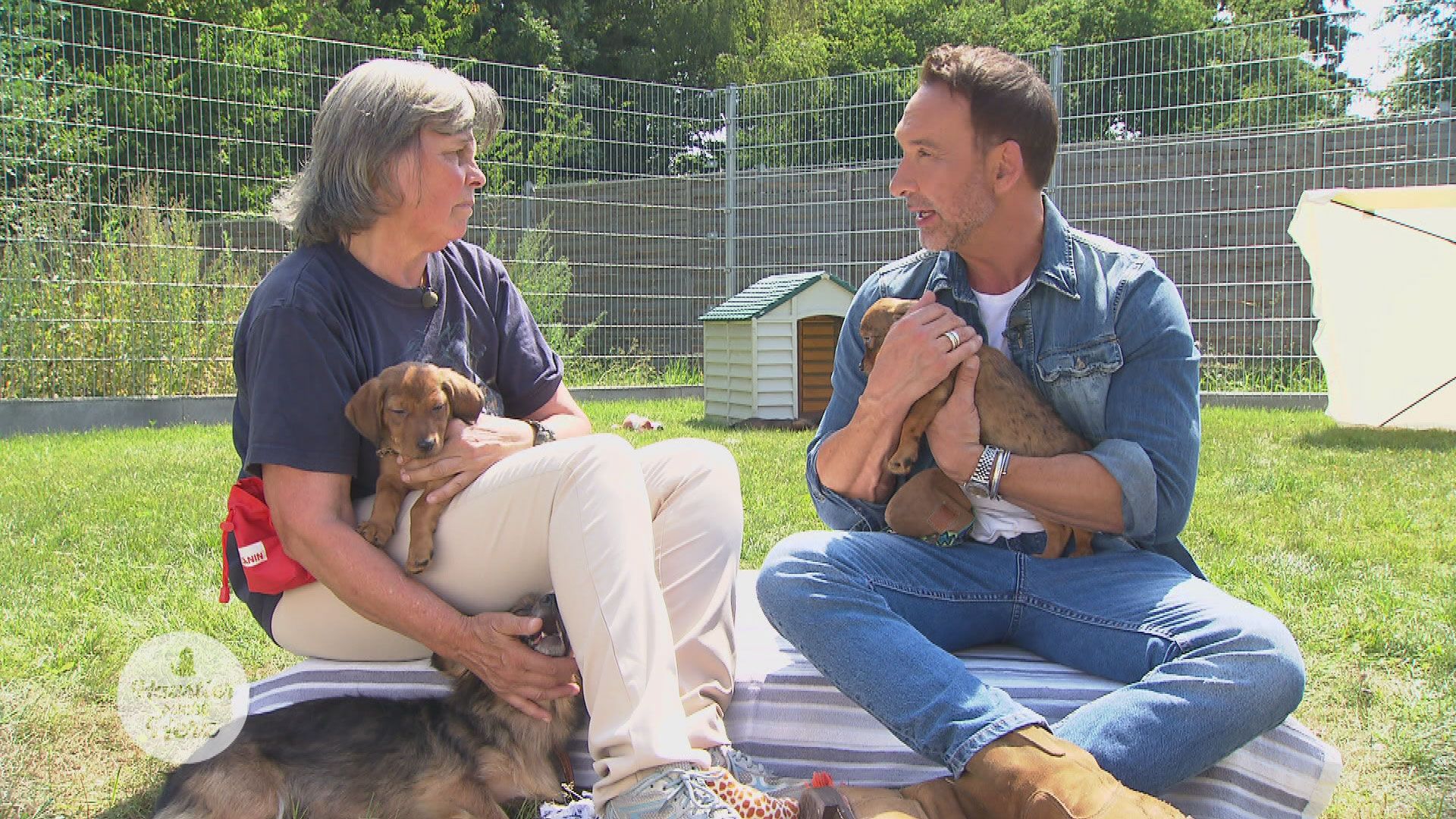 Folge 9
