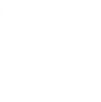 Die nackte Kanone 2 1/2