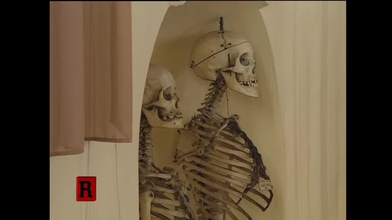 ATV Die Reportage - Gerichtsmedizin