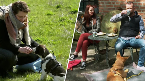 Der Welpentrainer - Auf die Pfoten, fertig, los! Der Welpentrainer - Auf die Pfoten, fertig, los! Folge 6: Heilkräuter-Lehre und Hundetraining für Café-Besuche