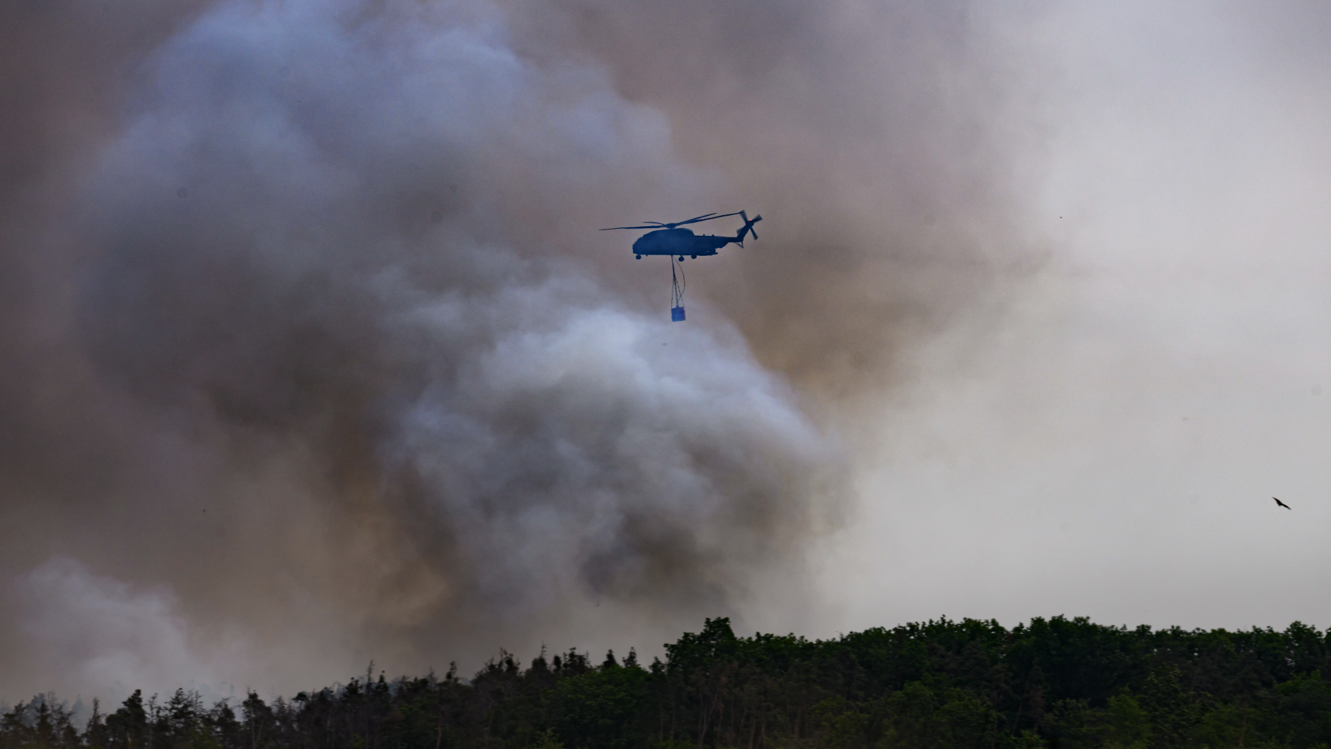 Waldbrand in Sachsen lodert weiter