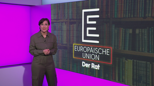 Das große Ganze Das große Ganze - Staffel 1 Folge 13: E – der Rat der EU