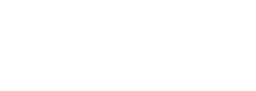 Hollywood Knights