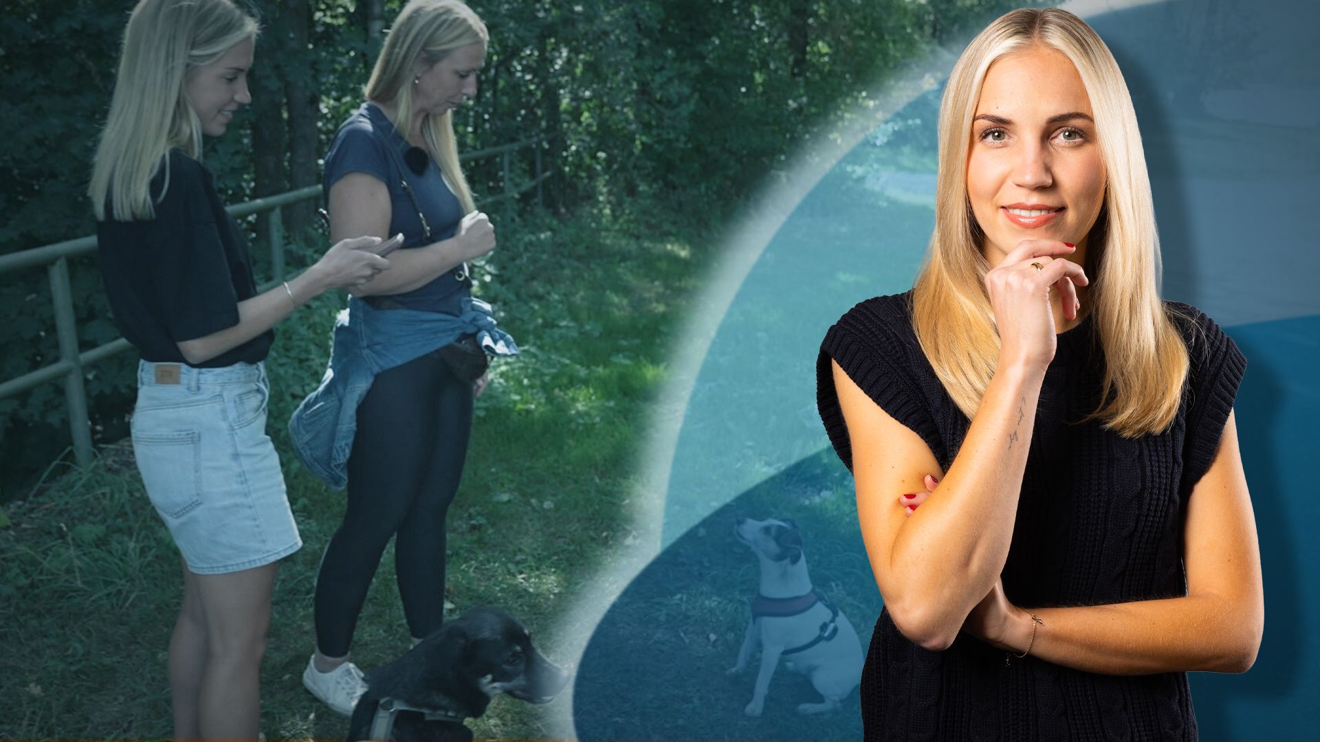 KI-Halsband für Hunde
