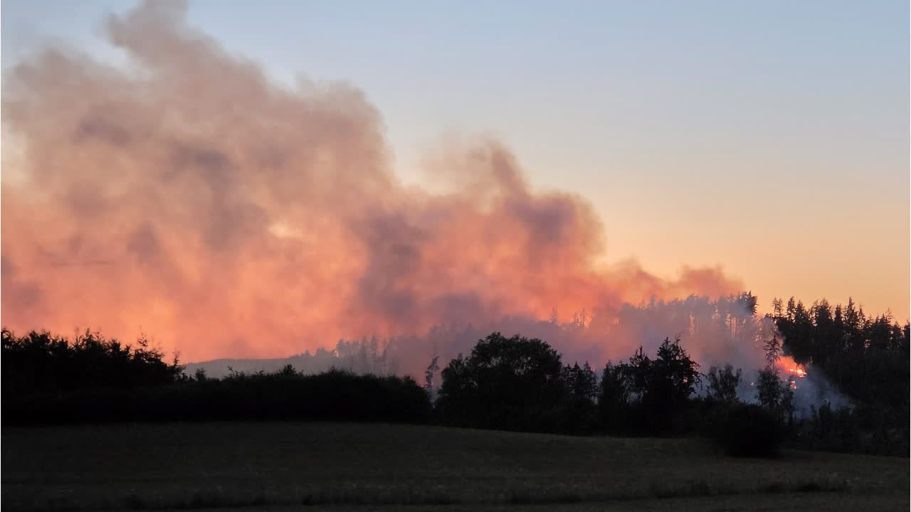Waldbrand nahe sächsischer Stadt Plauen