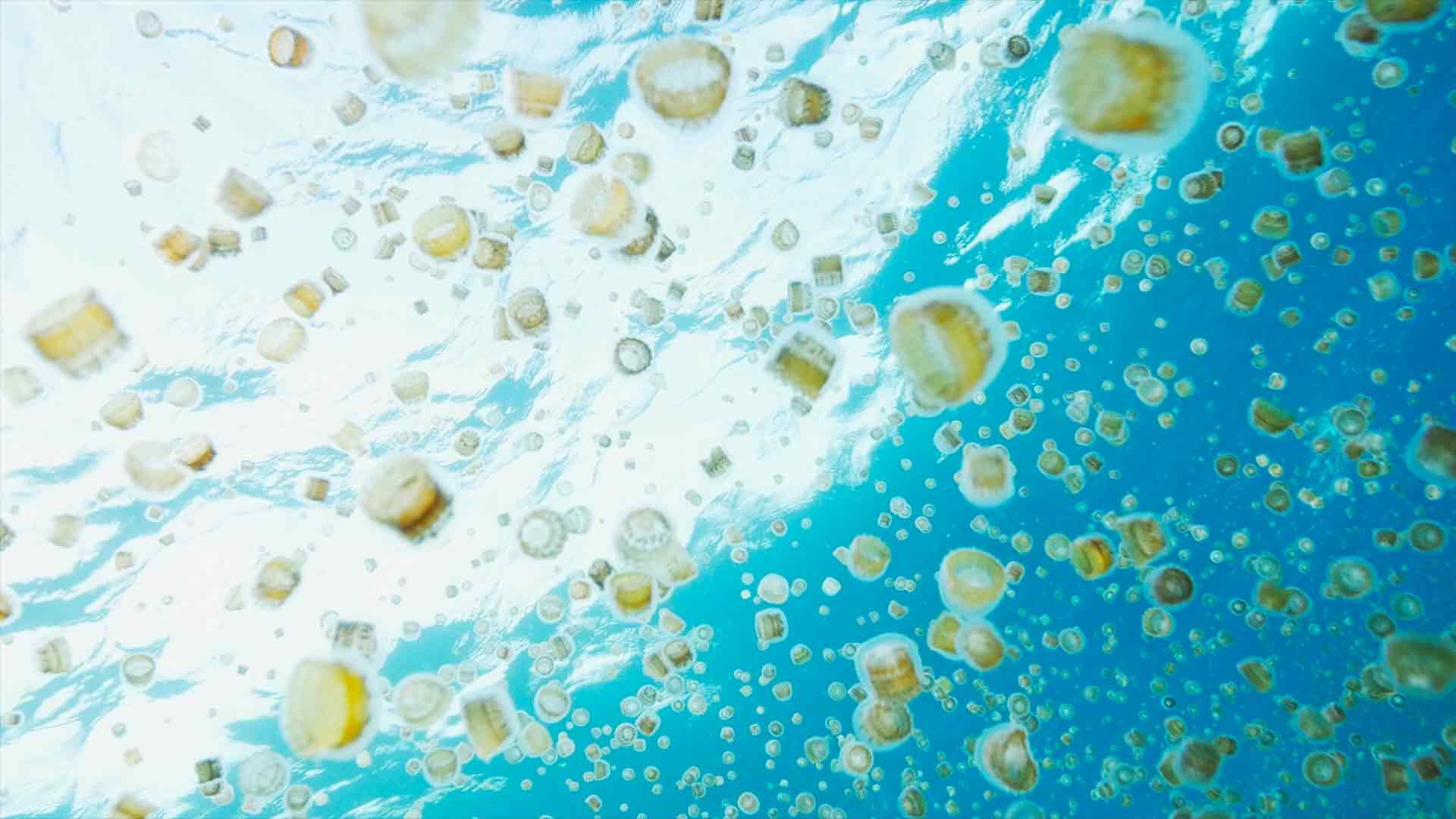 Roatan
