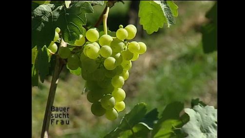 Bauer sucht Frau Bauer sucht Frau - Staffel 4 Folge 8: Bauer sucht Frau - Staffel 4 Folge 8