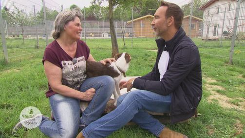 Haustier sucht Herz Staffel 2 Folge 3: Folge 3