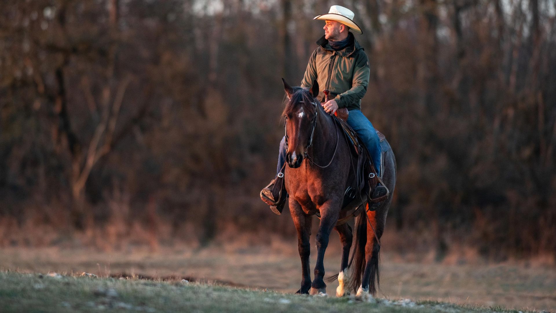 Sensibler Kaltblut-Mix und Galopp-Training