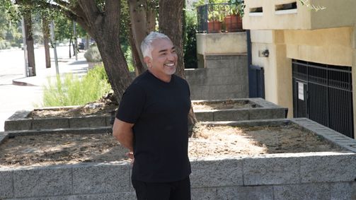 Cesar Millan: Better Human Better Dog - Bessere Menschen, bessere Hunde Cesar Millan: Better Human Better Dog - Bessere Menschen, bessere Hunde Folge 10: Goldene Verwandlung