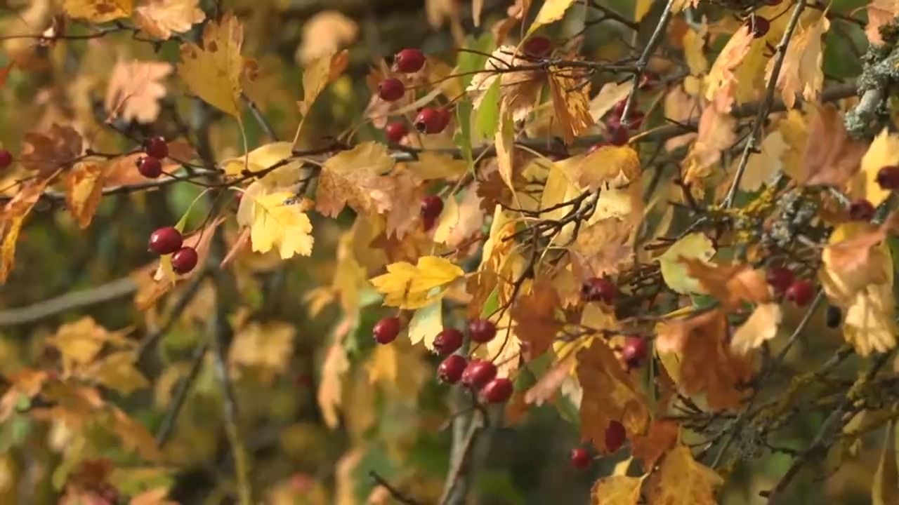 Herbst in der Oberpfalz: Sonnige Aussichten und bunte Blätter