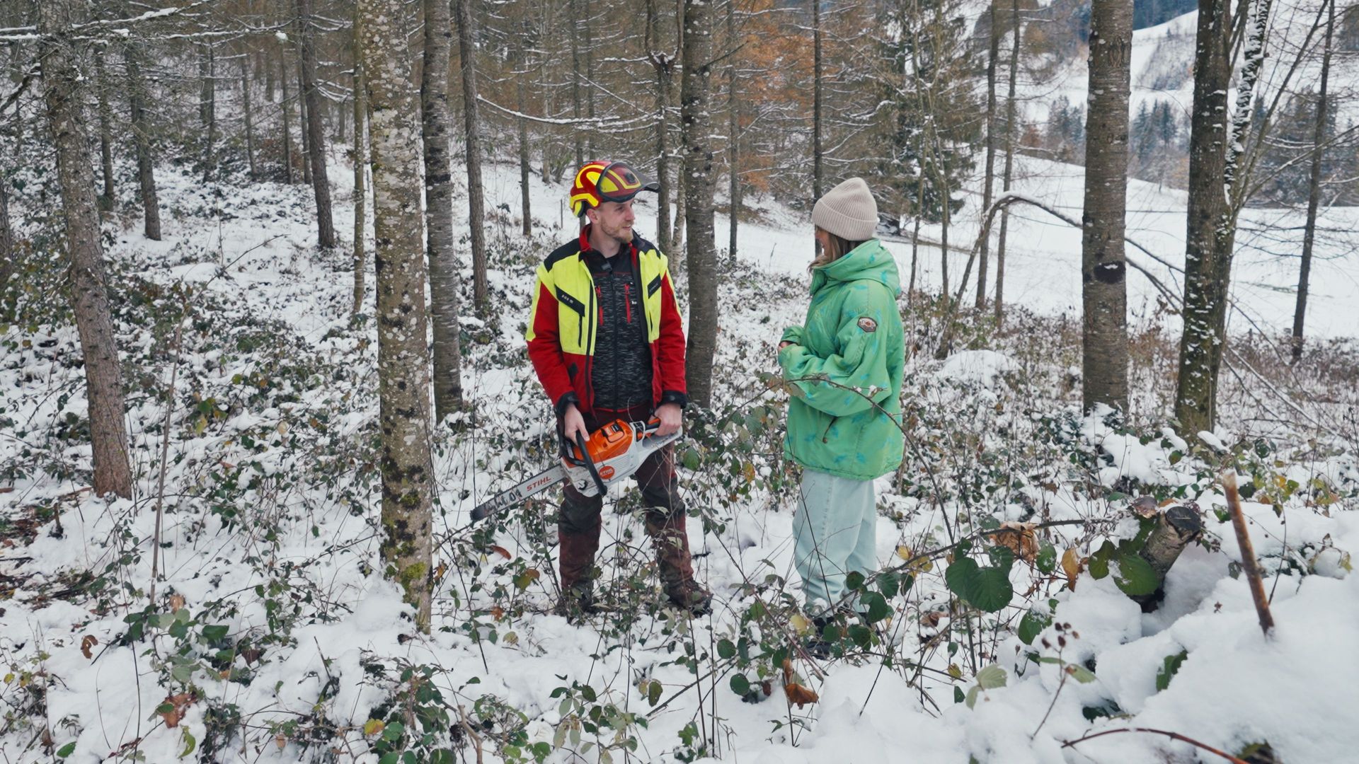 Mehr Kohle für’s Holz: Was ist der Wald wert? 