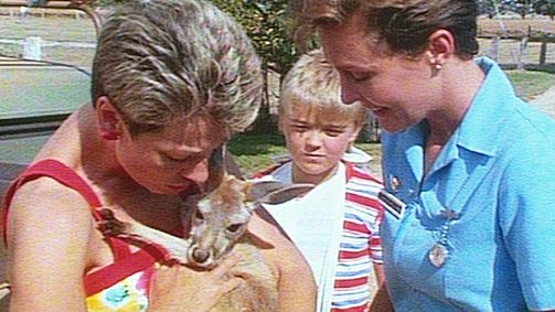 Die fliegenden Ärzte Die fliegenden Ärzte Folge 8: Die Stadtcowboys