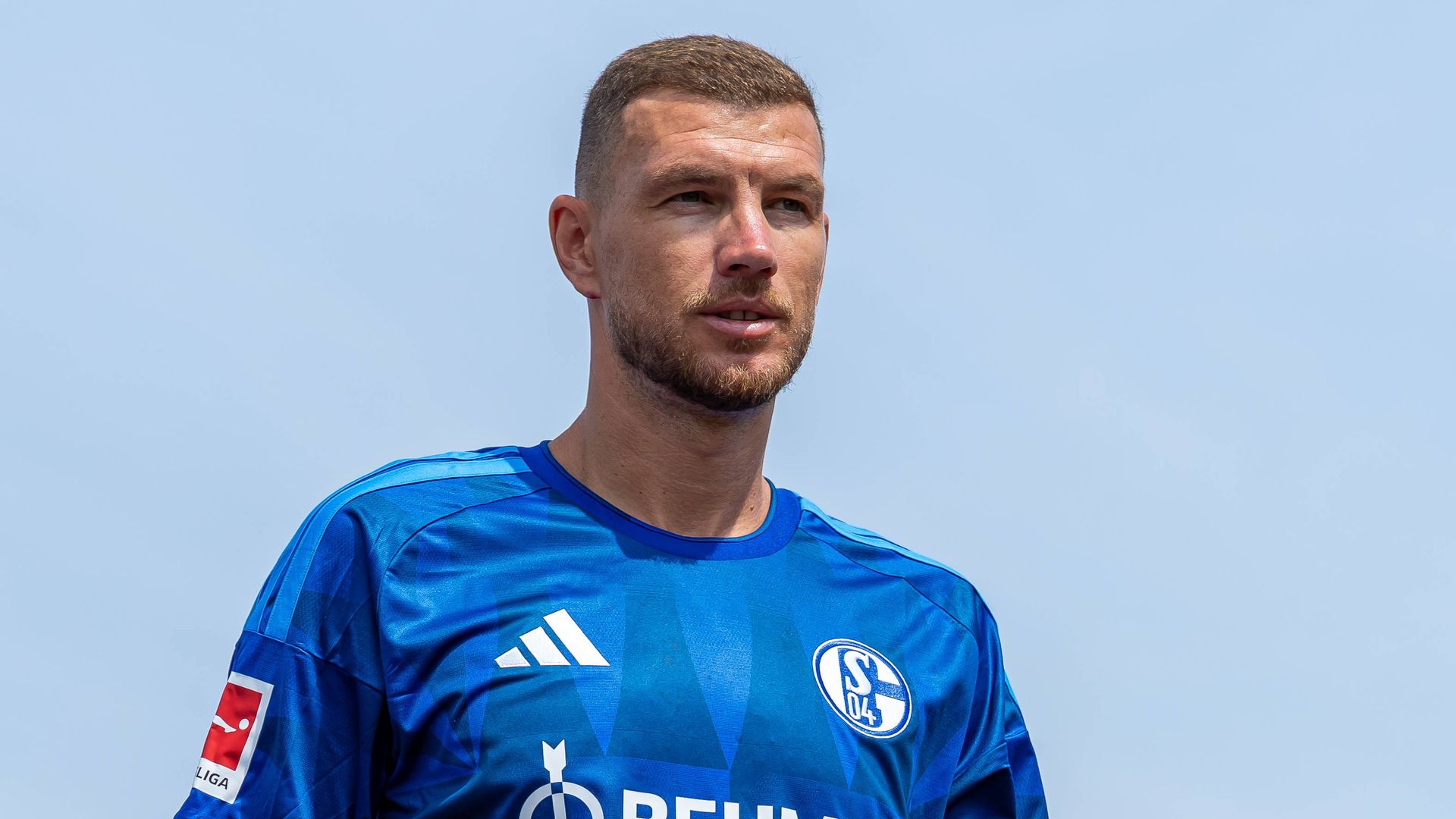Schalke 04 - Edin Dzeko enthüllt: "Ich hatte noch drei Optionen"