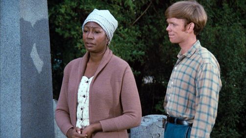 Die Waltons WALTONS, DIE - 06 Folge 20: Familienforschung