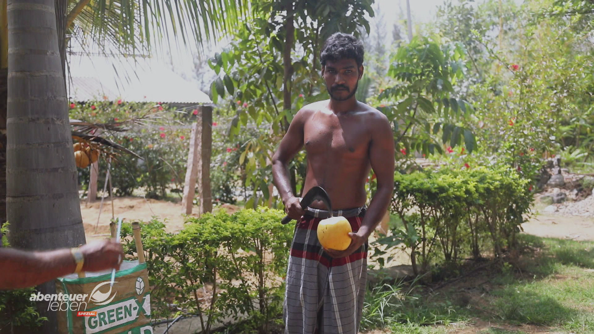 Der Weg der Kokosnuss