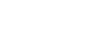 SEAL Team