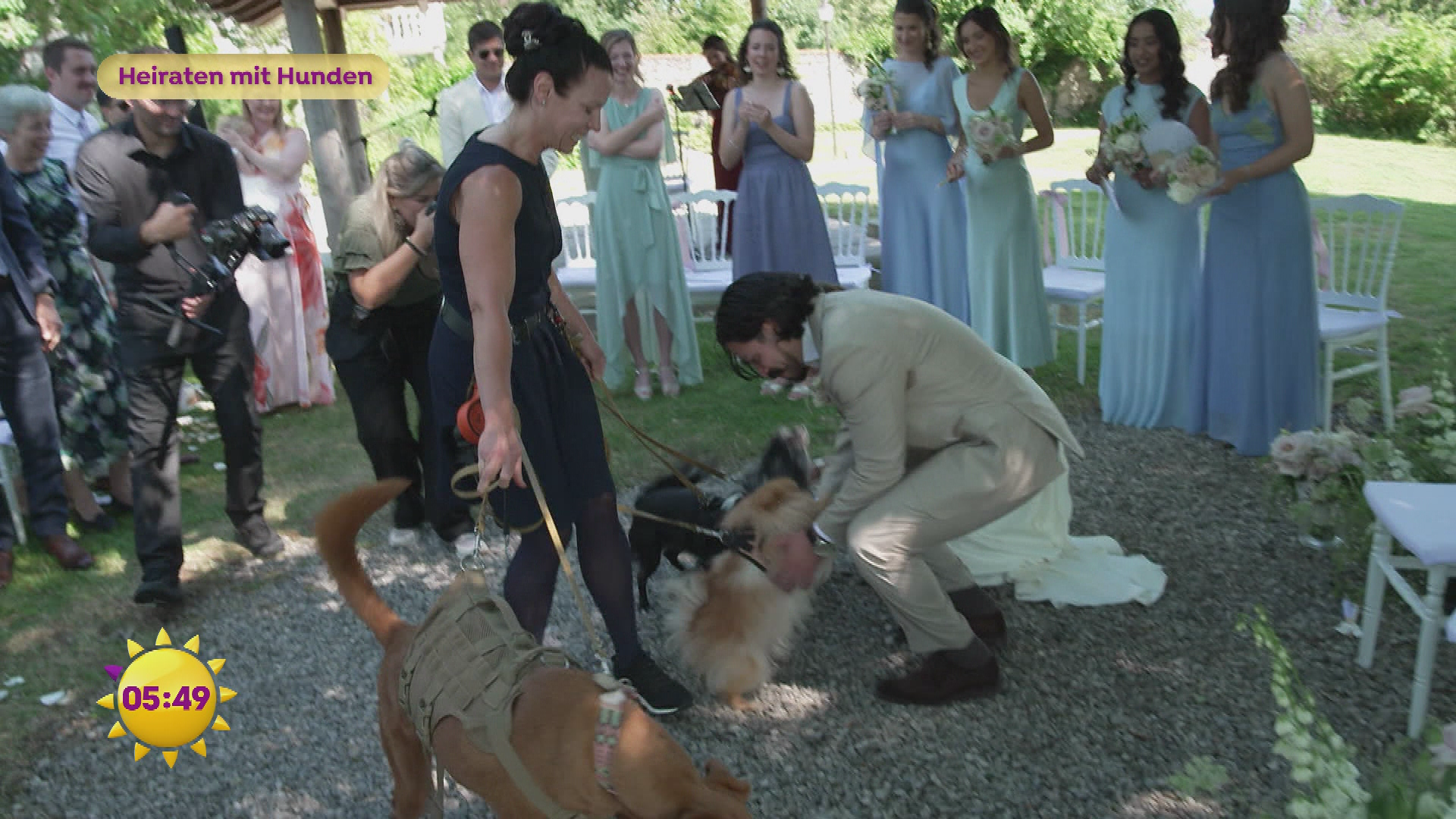 Heiraten mit Hunden