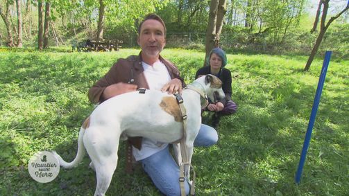 Haustier sucht Herz Staffel 3 Folge 6: Folge 6