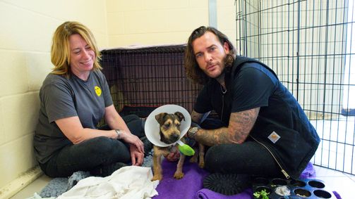 Pete Wicks - Aus Liebe zu Hunden Pete Wicks - Aus Liebe zu Hunden Folge 3: Dave & Olive