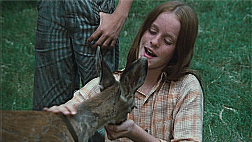 Die Waltons Die Waltons Folge 9: Wo die Liebe hinfällt