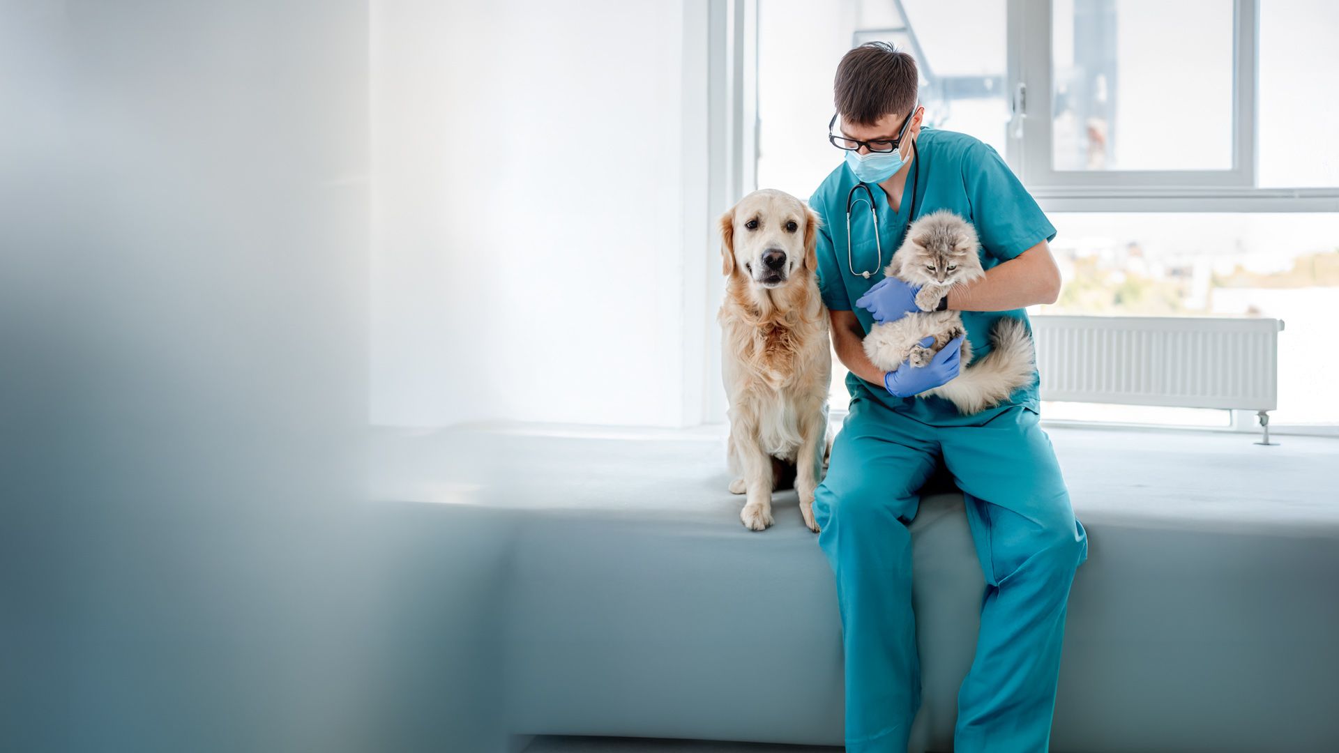 Die Tier-Docs! Pfotenhelden mit Herz