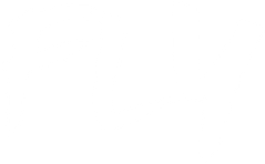 Fly