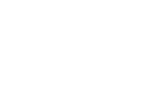 Die Strafverteidiger