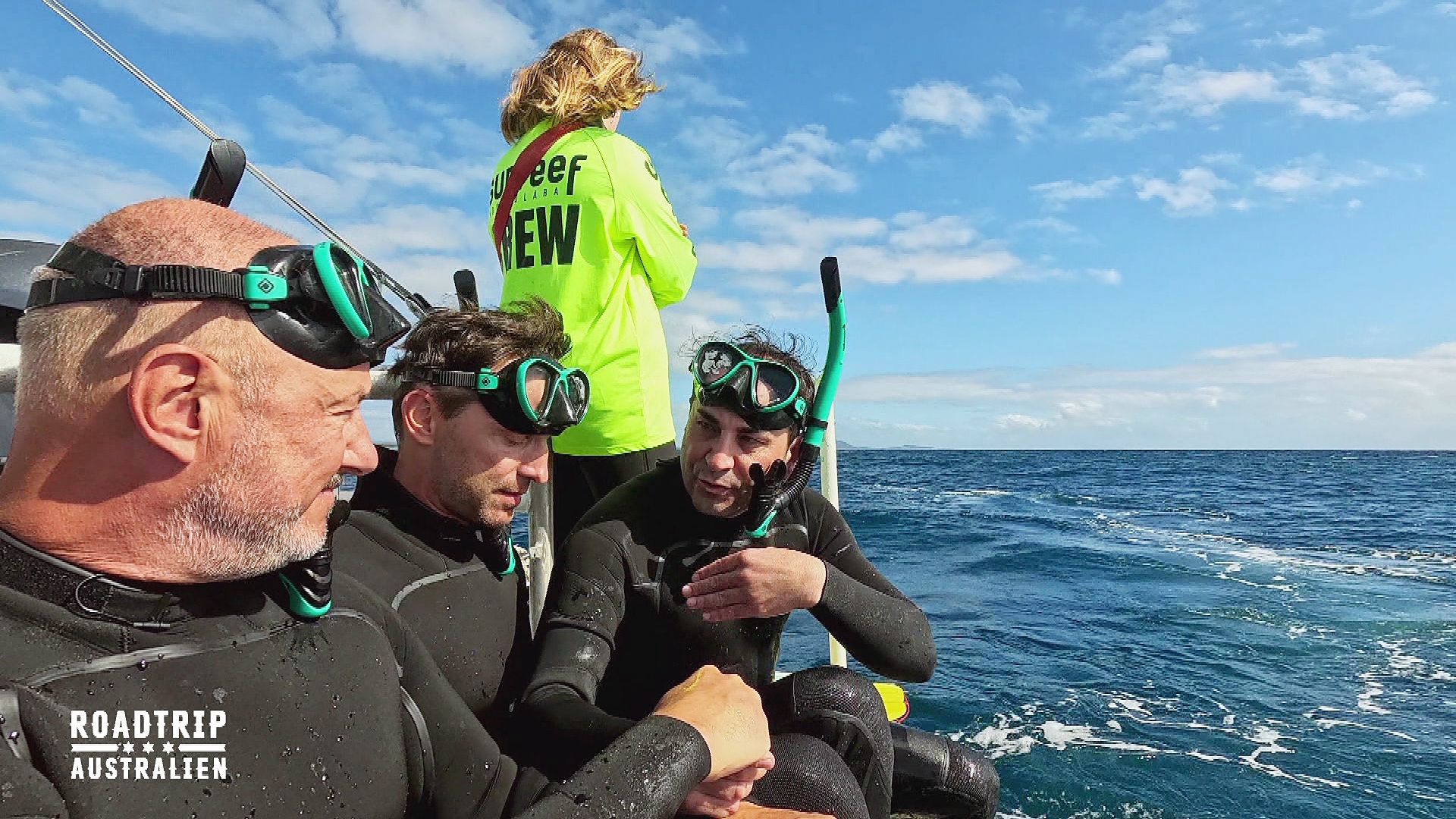 Schnorcheln mit Walen, Camper-Panne und Surf-Erlebnis