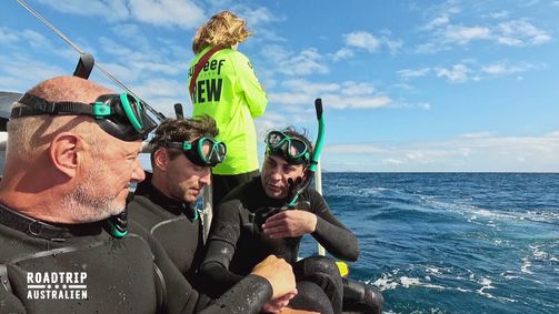 Roadtrip - Drei Spitzenköche auf vier Rädern Roadtrip Australien - Drei Spitzenköche auf vier Rädern Folge 2: Schnorcheln mit Walen, Camper-Panne und Surf-Erlebnis