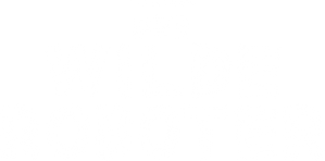 Der wilde Roboter