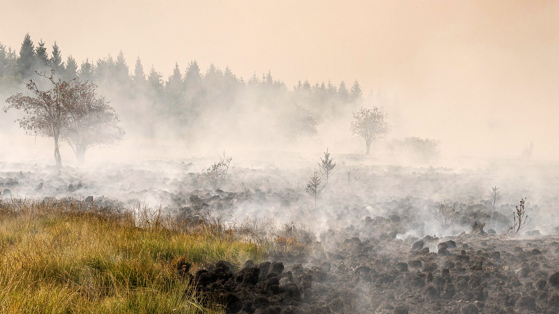 Belgisches Feuerdrama bedroht die Eifel