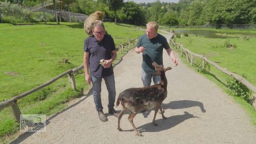 Praxis Dr. Dreesen - Ein Hof für Tiere Praxis Dr. Dreesen - Ein Hof für Tiere Folge 2: Im Zoo sind die Affen los