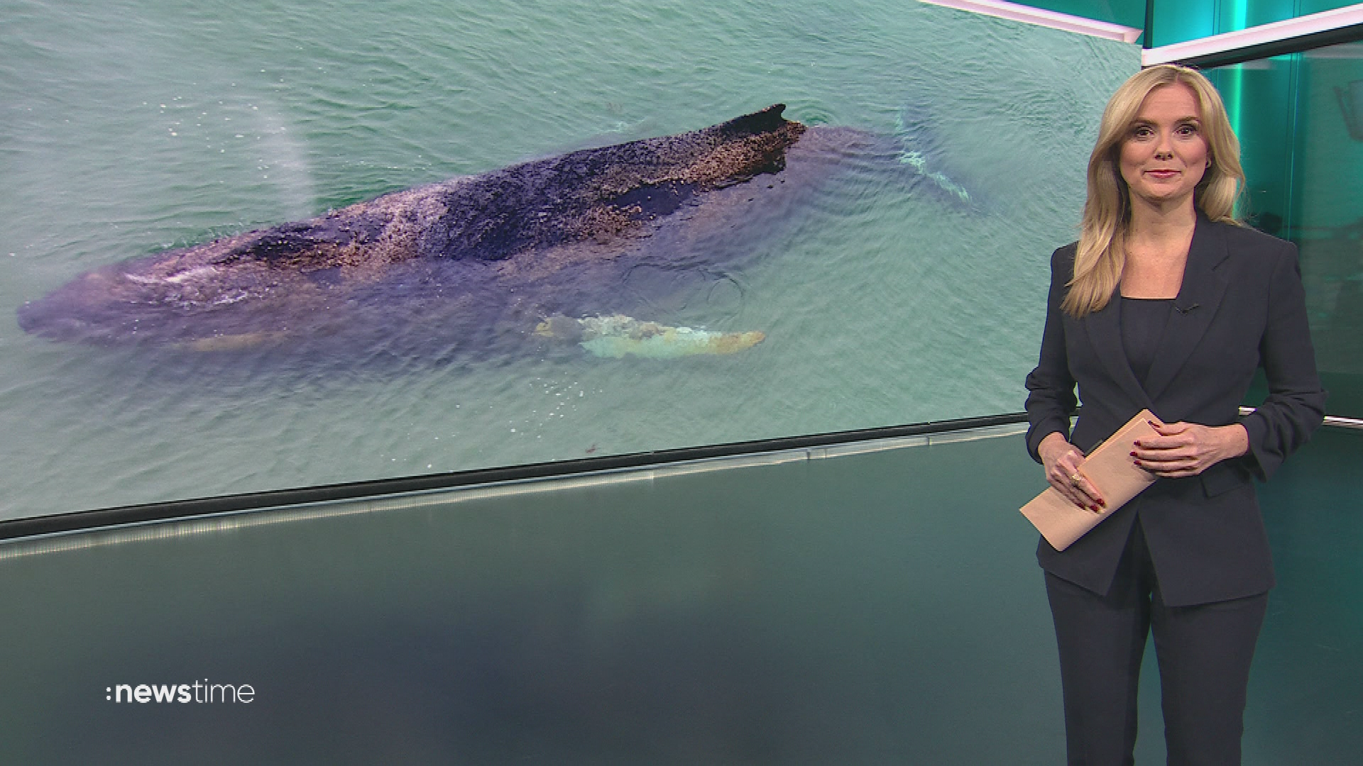 :newstime vom 24. März 2026 | 19:45