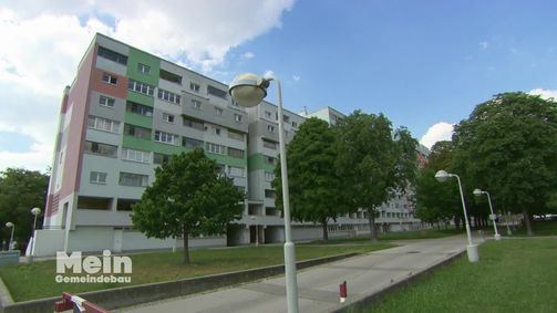 Mein Gemeindebau Mein Gemeindebau - Staffel 2 Folge 1: Staffel 2 Folge 1: Ordnung muss sein
