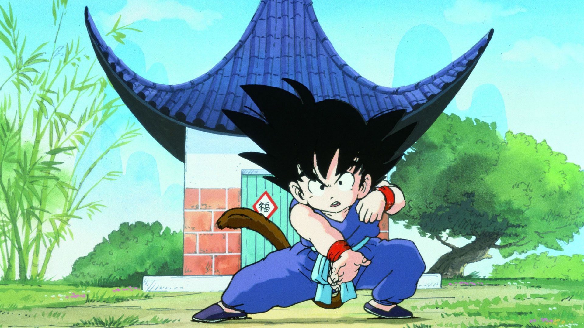 Das Geheimnis der Dragon Balls