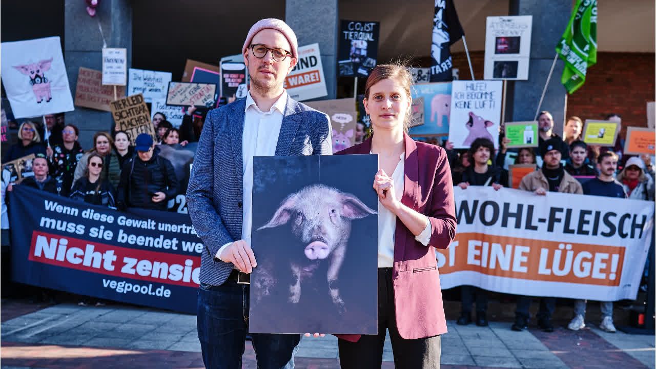 Tierschützer haften für Schlachthof-Videos