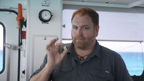 Expedition Unknown - Mythen auf der Spur Expedition Unknown - Mythen auf der Spur Folge 12: Schatzsuche im Bermuda-Dreieck