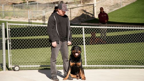 Cesar Millan: Better Human Better Dog - Bessere Menschen, bessere Hunde Cesar Millan: Better Human Better Dog - Bessere Menschen, bessere Hunde Folge 5: Hilfe für das Biest