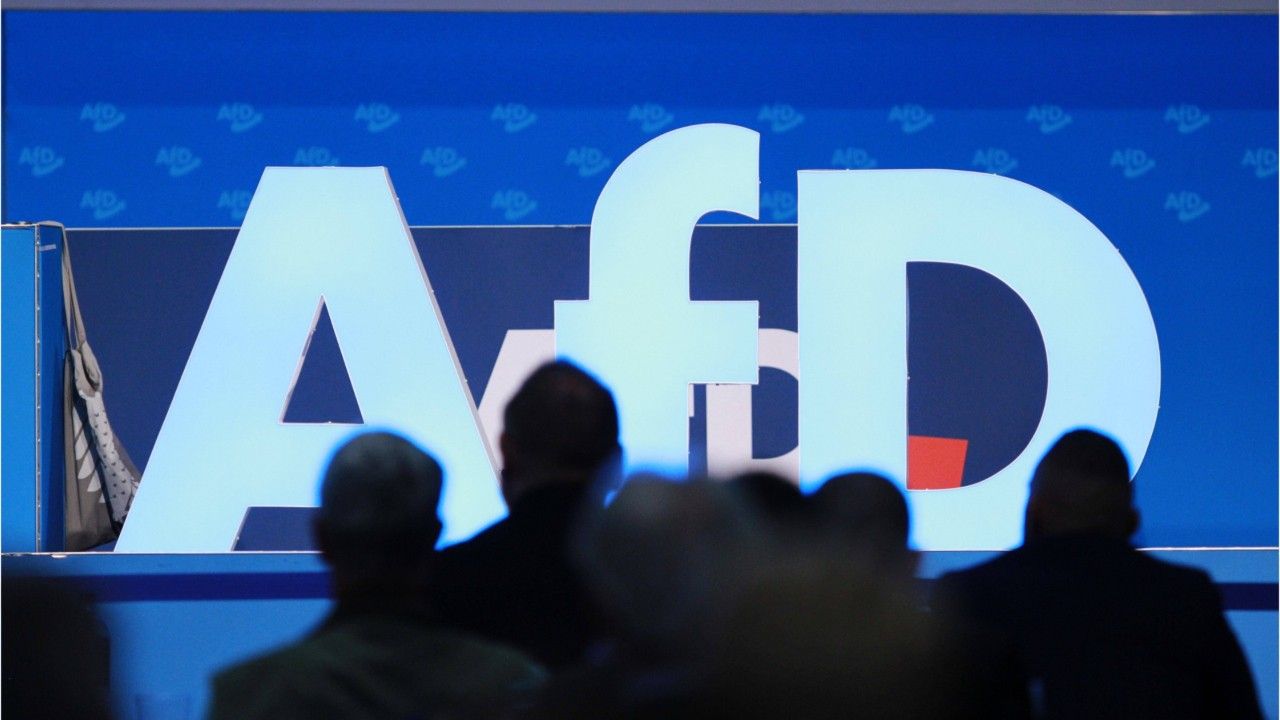 Neue Studie: AfD stärkste Kraft bei Jugendlichen
